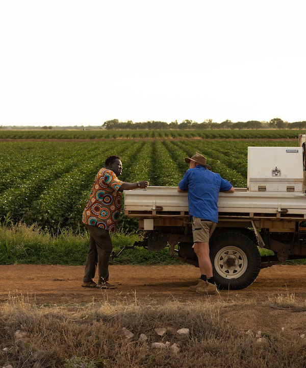 Rob and Ken talking beside a ute with irrigated fields behind them.